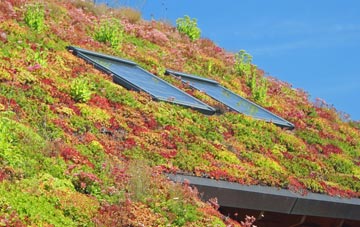 Kinloid living roof systems